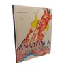 Anatomia w treningu szybkości