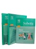 Sobotta Atlas anatomii człowieka T. 1-2 + tabele